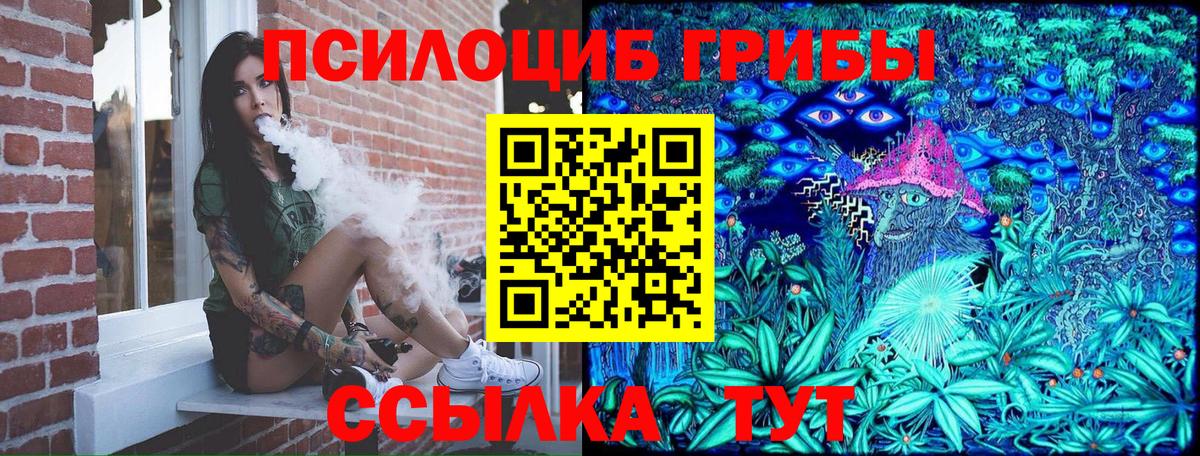Новокубанск  Псилоцибиновые грибы Psilocybine cubensis  Псилоцибиновые грибы Psilocybe  Вход с VPN 