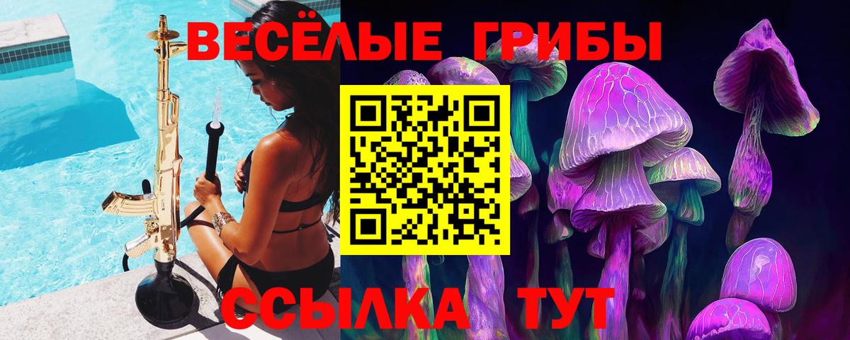 Псилоцибиновые грибы ЛСД Новокубанск